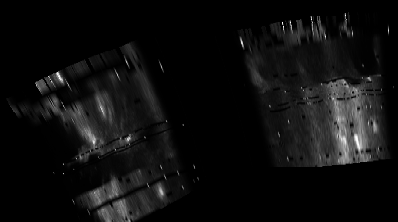 ascat_grayscale_proj_downward.png